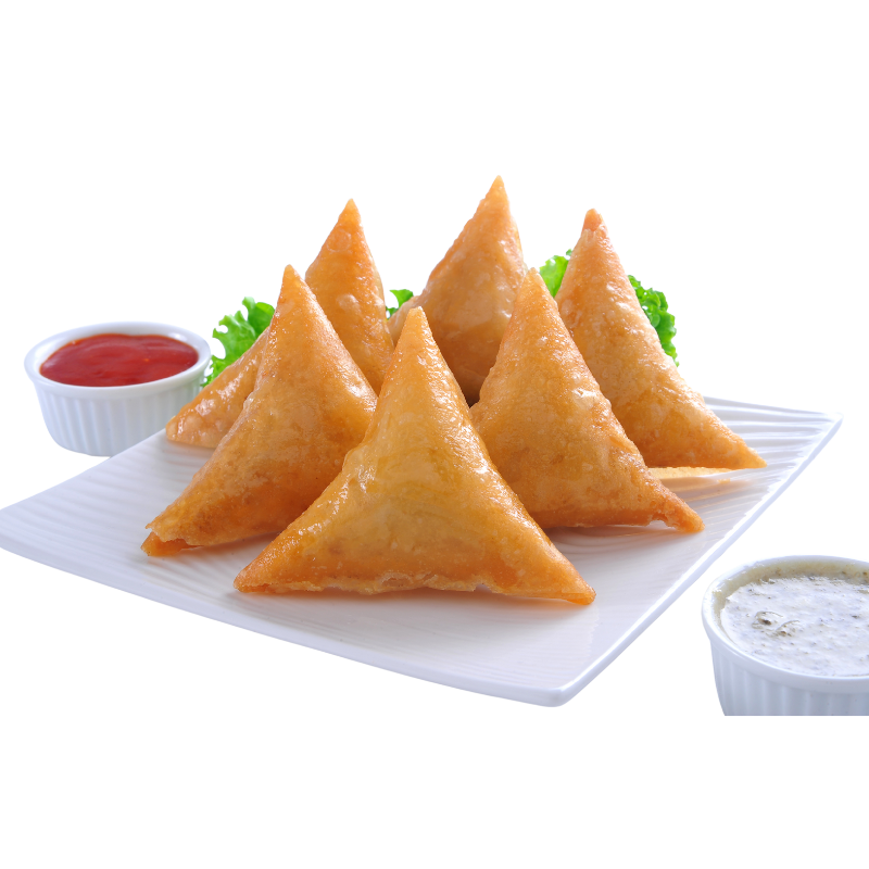 Chicken Fajita Samosa